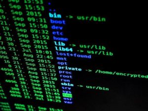 Digitala nomader och säkerhet